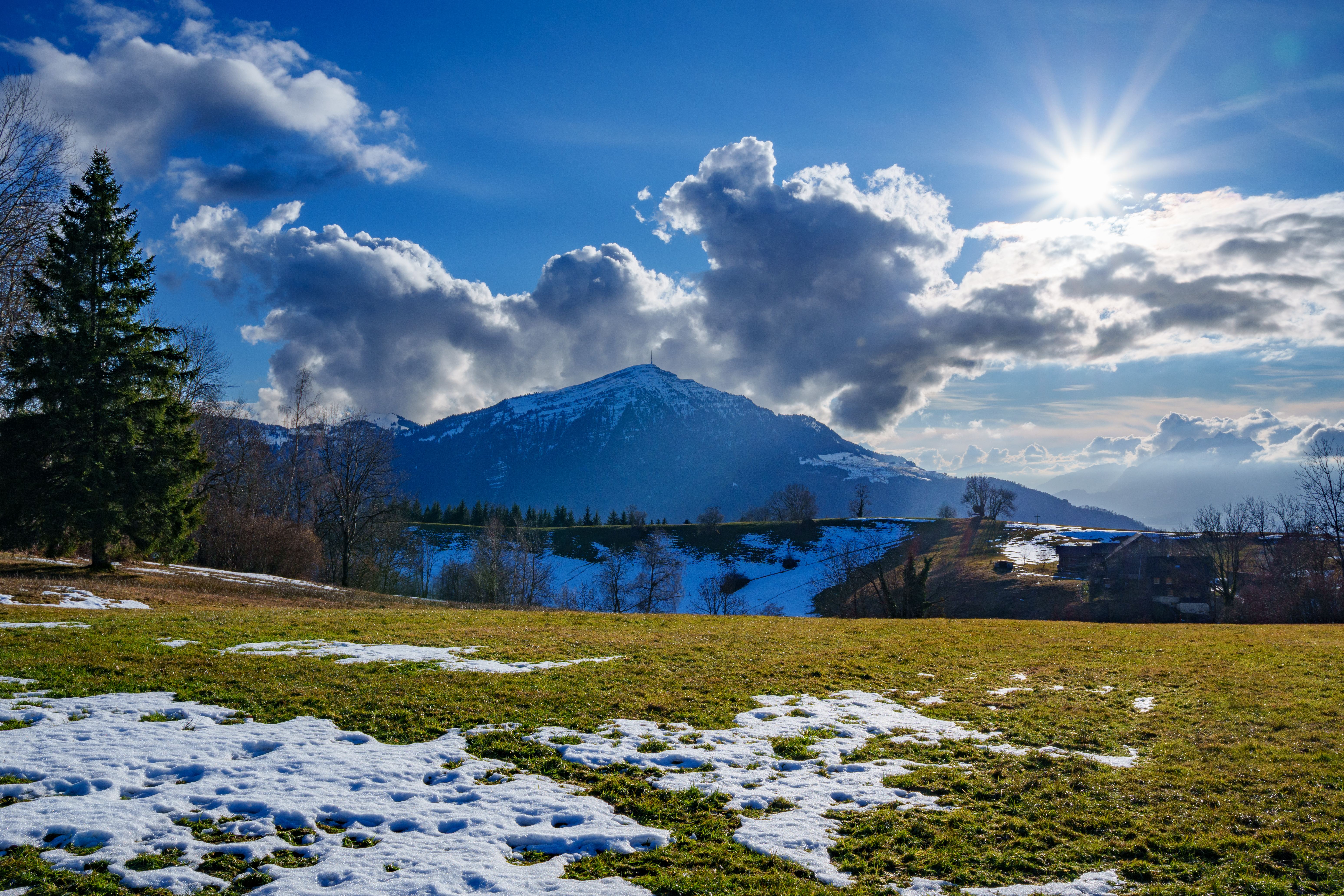Photograph from the archive
